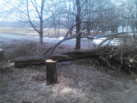 ForumRunner_20140405_200408.png