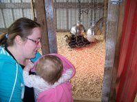 Chloe and Rebecca looking at Ducklings thru gate.jpg