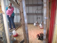 Chloe, Rebecca, and the Ducklings.jpg