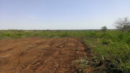 WP_20140404_005.jpg