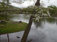 DSCN0243.JPG