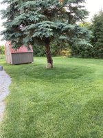 IMG_6076.jpeg