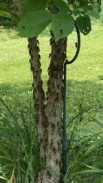 IMG_1756.JPG