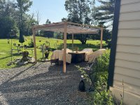 IMG_4704[1].JPG