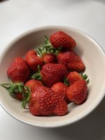 IMG_5174.jpeg