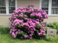 IMG_0183.jpeg