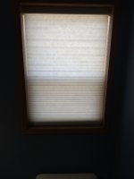 image-2285965444.jpg