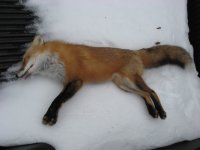 IMG_0444.JPG