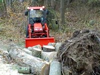 Kubota B3030 & Red Oak.jpg