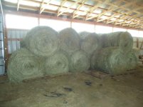 2014 First cutting hay.jpg