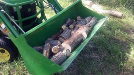 sticks bucket of logs.jpg