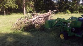 sticks burnpile.jpg