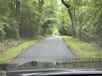 IMG_4728[1].JPG