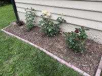 IMG_4726[1].JPG