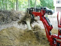 Stump4.JPG