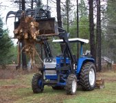 stump large- 007.JPG