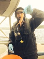 image-1209295664.jpg