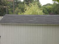 Zinc Strip 1 EM.JPG