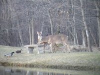 DSCF3616.jpg
