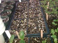 IMG-20140409-00125.jpg