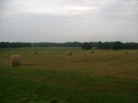 DSC04957.JPG