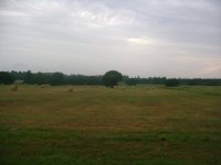 DSC04958.JPG