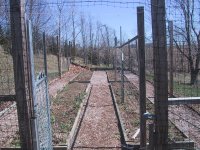 garden.jpg