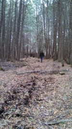 ForumRunner_20140504_215419.png