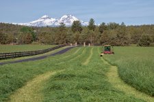 2025 Hay First Cut 04.jpg