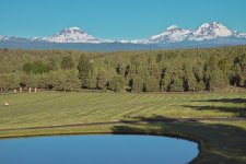 2025 Hay First Cut 11.jpg