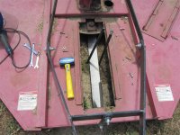 IMG_3780 (Medium).JPG IMG_3780 (Medium).JPG