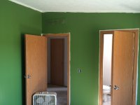 image-2449125424.jpg