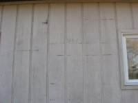 IMG_1083.JPG