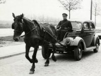 car buggy.jpg