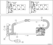mulecooling2.JPG mulecooling2.JPG