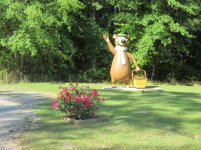 IMG_0496.jpg