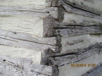 IMG_0071.JPG