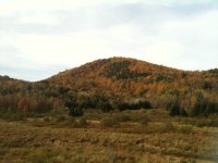 IMG_0426.jpg