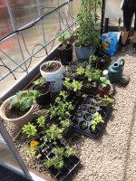 2014-06-02 11.36.52.jpg