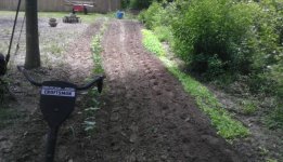 garden done1.jpg