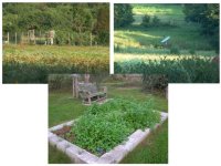 525841-gardencolage.jpg