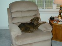 573641-TheChairIsMine.jpg