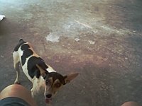 485420-img0000004.jpg