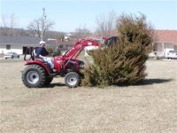 619049-Tractor  vs Tree 003.jpg