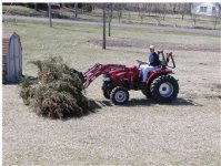 619051-Tractor  vs Tree 007.jpg