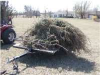 619052-Tractor  vs Tree 010.jpg