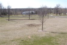 619065-Tractor  vs Tree.jpg