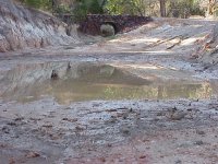 485605-tractor bridge.jpg