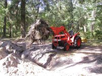 872042-Stump Out2.jpg