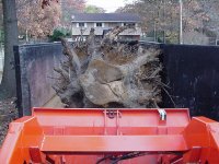526487-MVC-563S.JPG